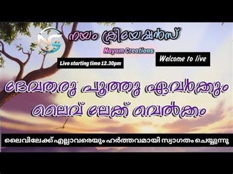 വാഗമൺ കണ്ടപ്പോപ്പോൾ ദേവതരു പൂത്തു .